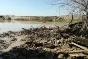  اقدامی جالب جهادی ها برای زوج های گلستانی/ تصاویر
