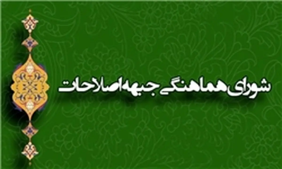 حبیبی: ما طبق برنامه به شورای سیاستگذاری ورود نکردهایم
