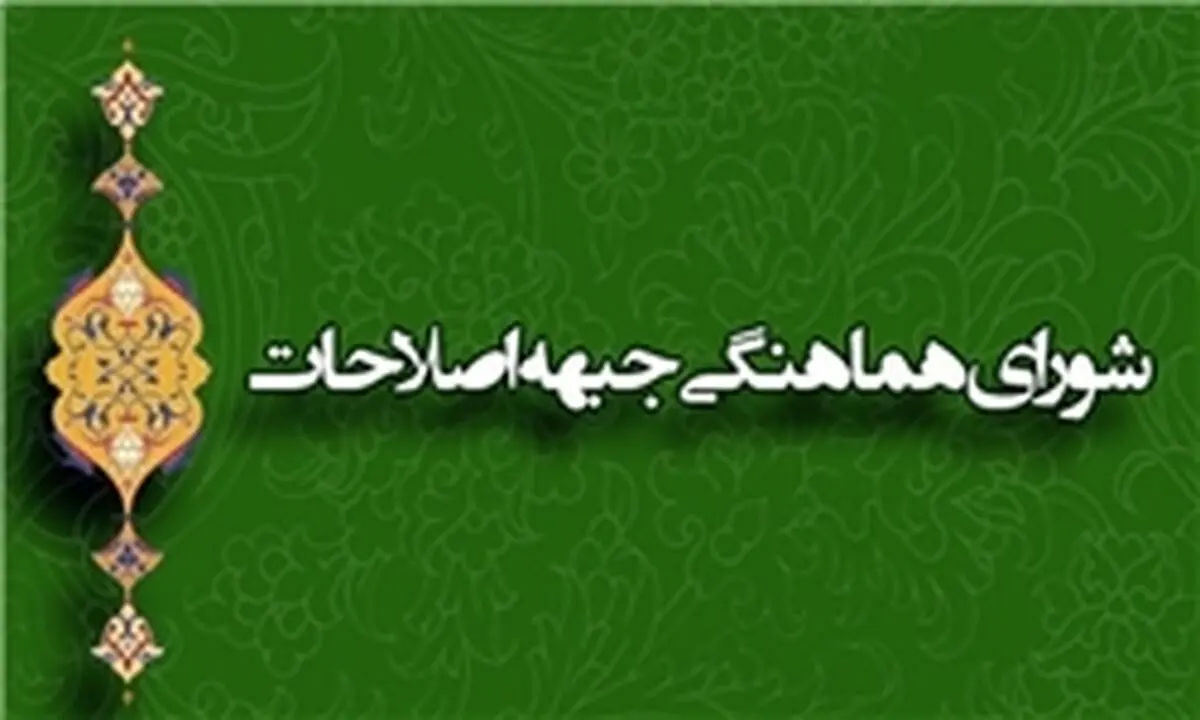 حبیبی: ما طبق برنامه‌ به شورای سیاستگذاری ورود نکرده‌ایم