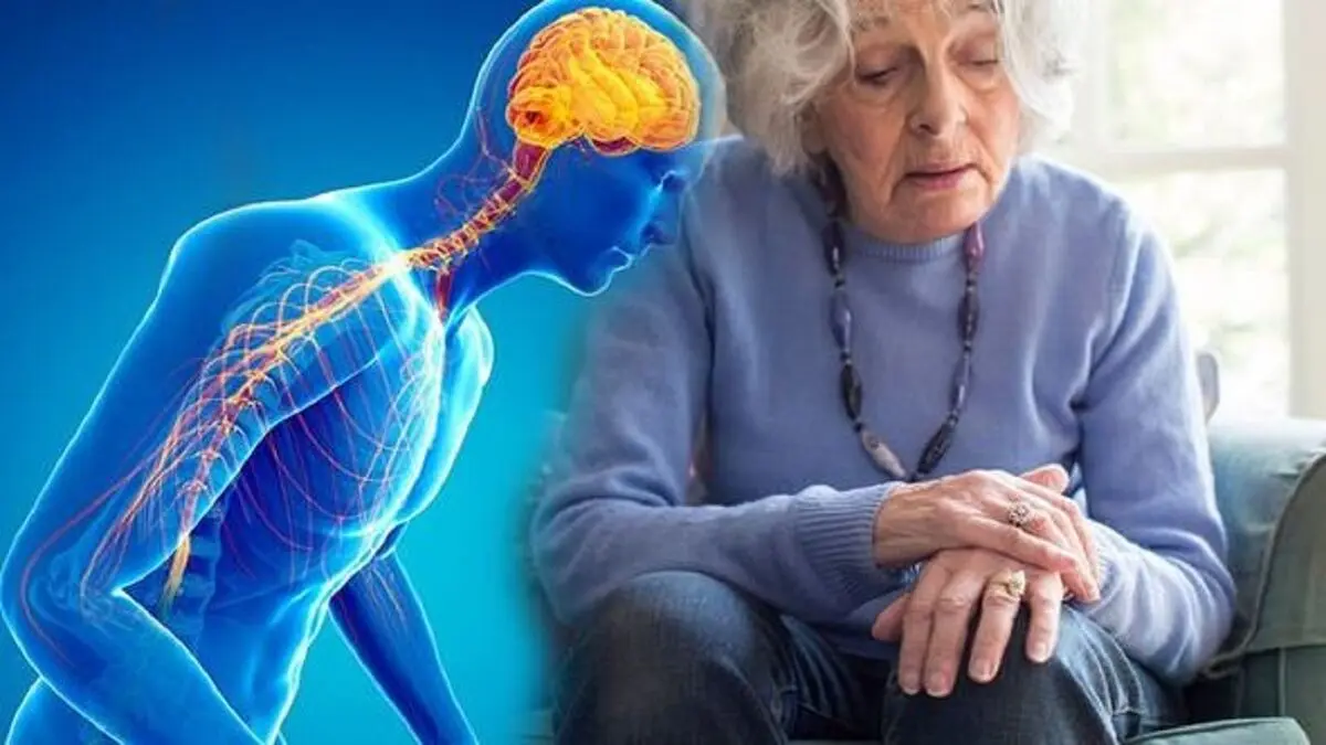 ظهور بارقه‌های امید برای درمان پارکینسون
