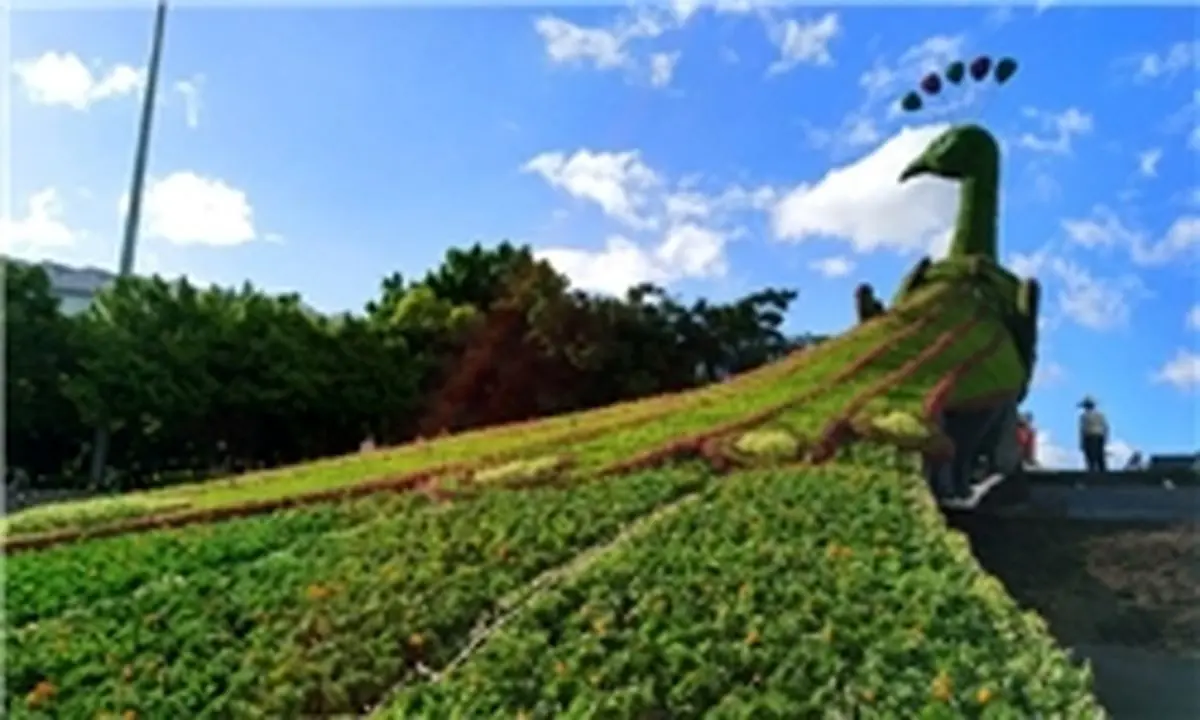 راهکاری چینی برای جذب گردشگر+ عکس