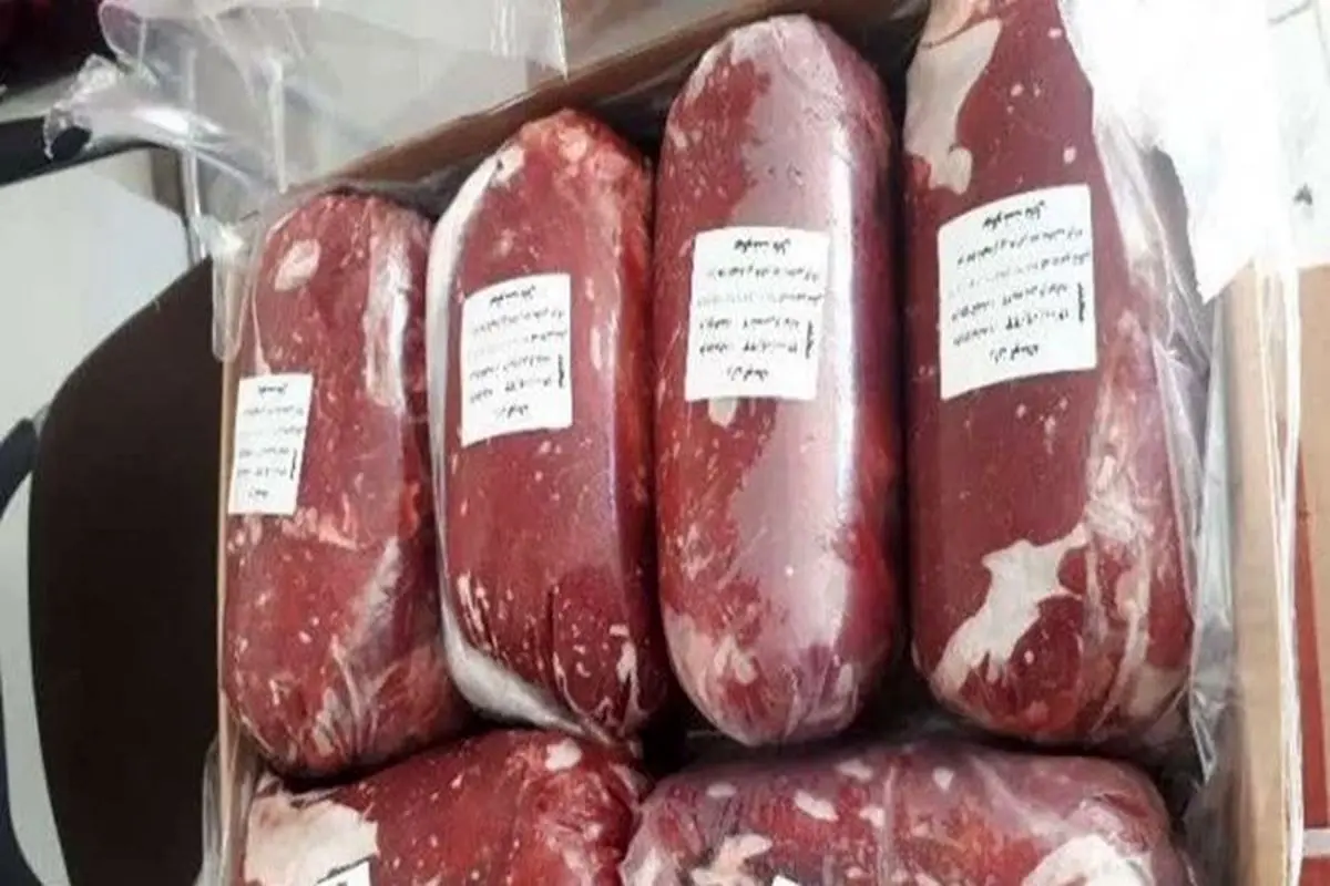 خبر فوری درباره زمان عرضه گوشت با قیمت مصوب