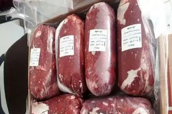 خبر فوری درباره زمان عرضه گوشت با قیمت مصوب 