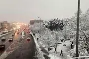 بارش اولین برف بهاری در تهران/ عکس