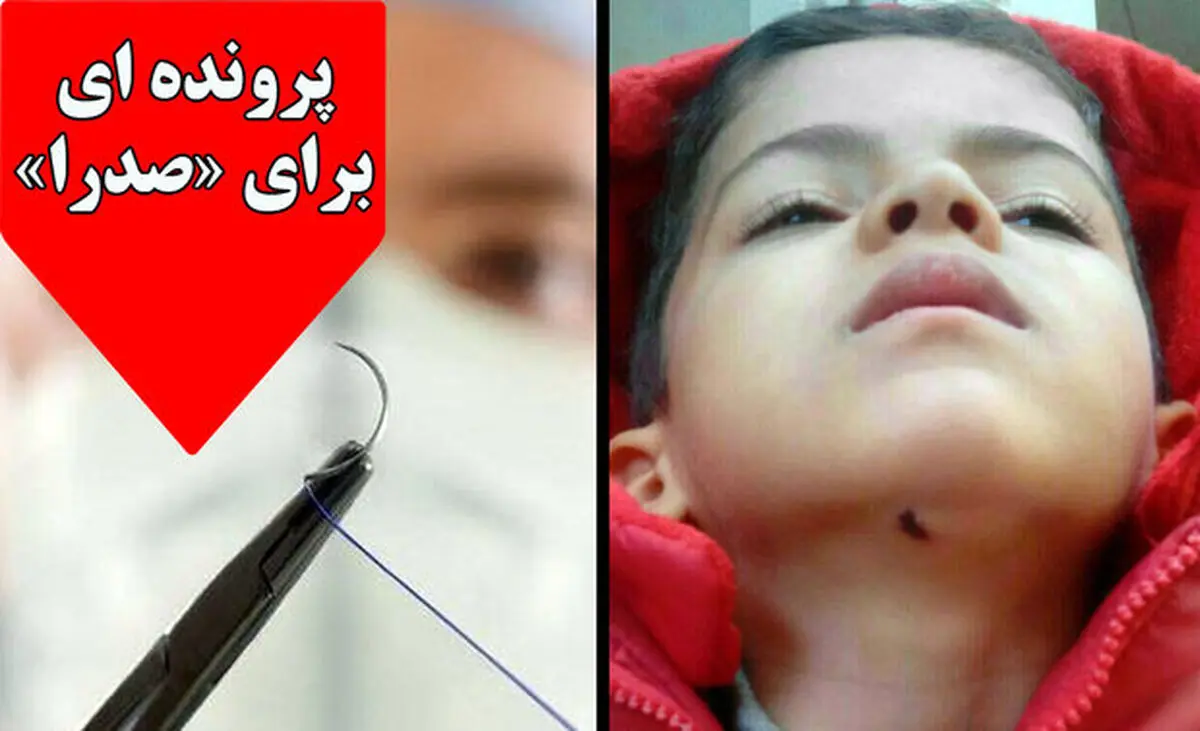 پشت پرده حادثه«صدرا» و «طرح تحول سلامت»