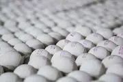 عرضه تخم مرغ ۲۰ درصد کمتر از نرخ منطقی
