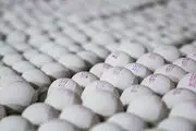 عرضه تخم مرغ ۲۰ درصد کمتر از نرخ منطقی
