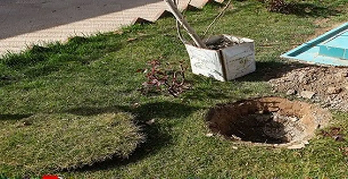  احیای چنارهای خیابان ولی عصر (عج) 