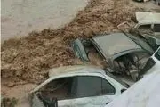 پهباد‌های سازمان فضایی به مناطق سیل زده اعزام می شوند