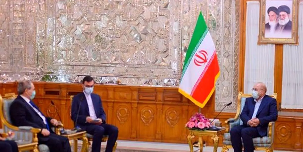 دیدار وزیر خارجه سوریه با رئیس مجلس