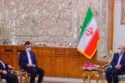 دیدار وزیر خارجه سوریه با رئیس مجلس