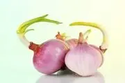 با پیازی که جوانه زده باید چه کرد؟