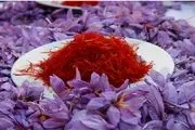 سهم ۴درصدی ایران از صادرات زعفران
