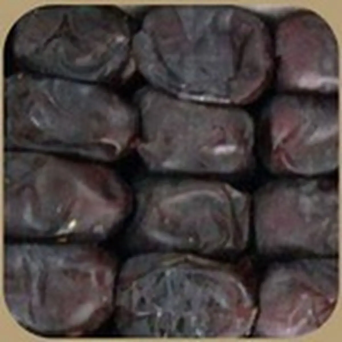 صادرات خرما متوقف شد