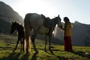 مستند «رویای یک اسب» در پنج جشنواره فیلم معتبر جهان