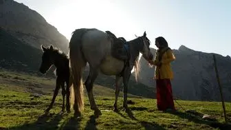 مستند «رویای یک اسب» در پنج جشنواره فیلم معتبر جهان