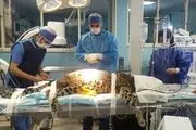 واکنش یک جراح نسبت به هجمه‌های انتقادی دانشکده دامپزشکی دانشگاه تهران