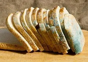 ارتباط کپک نان با سرطان کبد