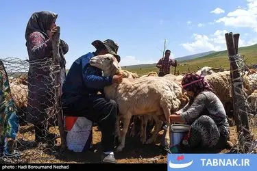 روز ملی روستا و عشایر/گزارش تصویری