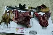 کشف لاشه یک راس میش وحشی و دستگیری 2 شکارچی غیرمجاز درقاین+تصاویر