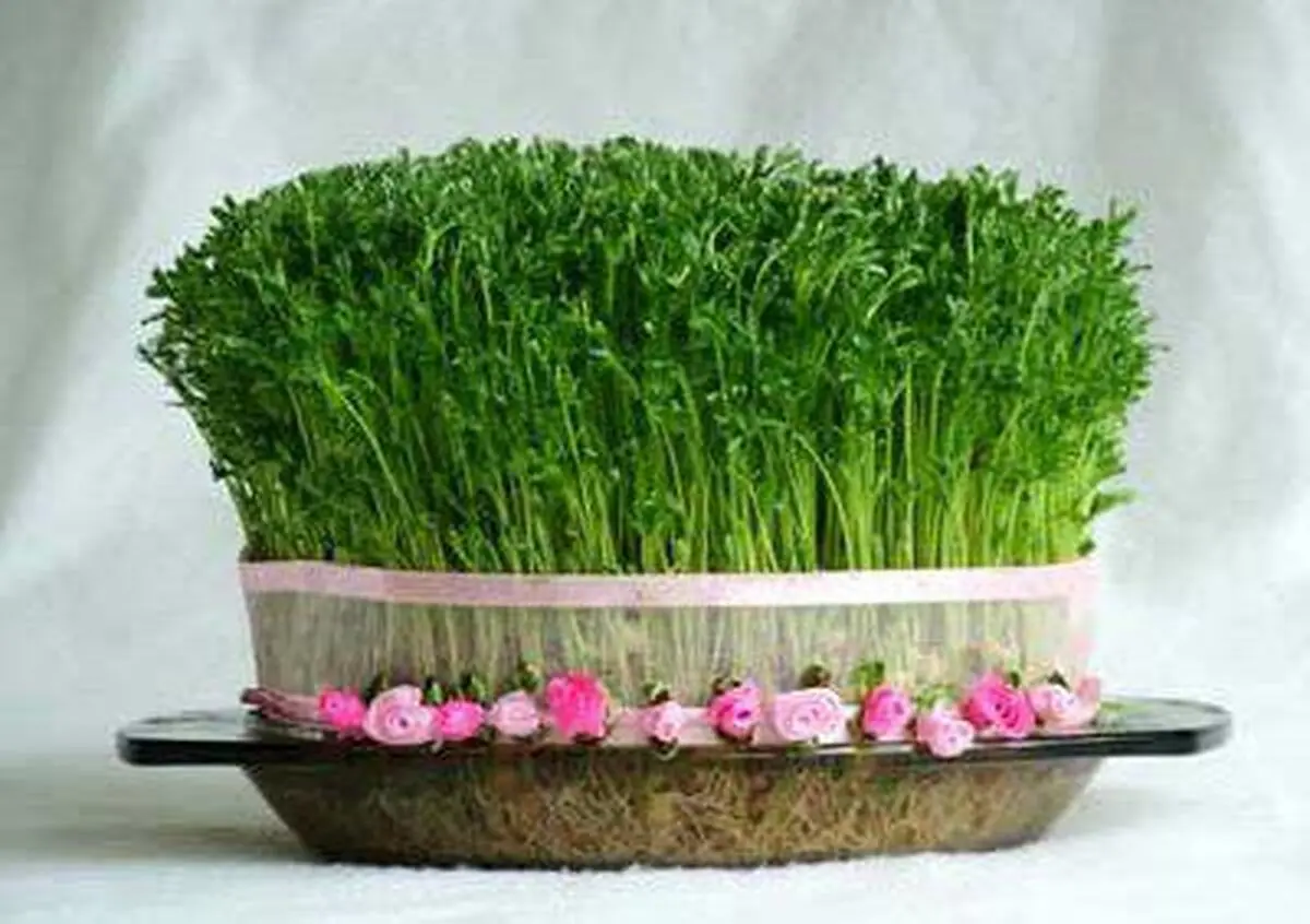 مظنه سبزه درآستانه سال نو