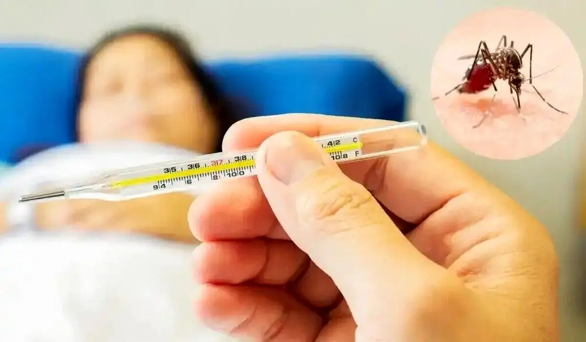 تب دنگی چقدر خطرناک است؟/ این افراد نوع شدید دنگی را میگیرند