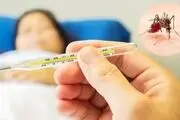 تب دنگی چقدر خطرناک است؟/ این افراد نوع شدید دنگی را می‌گیرند
