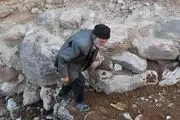 
3 روز است که ده دقیقه‌ی مسئولین برای کمک‌رسانی به آوارگان تمام نمی‌شود!