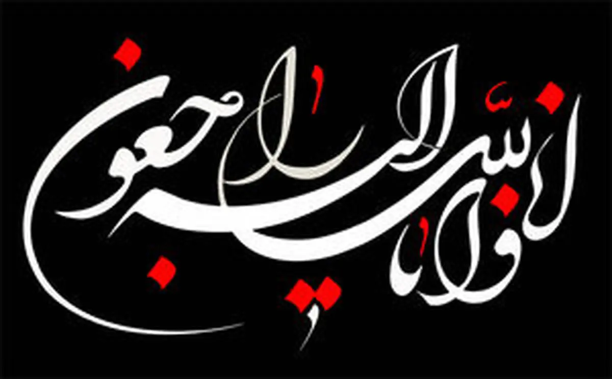 پیام تسلیت حسین انتظامی برای درگذشت خانم شهلا حبیبی