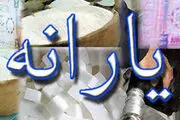 یارانه ۲۰ میلیون‌ نفر قطع می‌شود