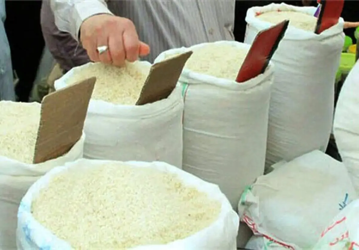 برنج پاکستانی و هندی در راه ایران؛ قیمت‌ها پایین می‌آید؟