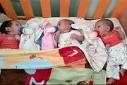 بررسی مشکلات خانواده ها با تولد نوزاد چند قلو