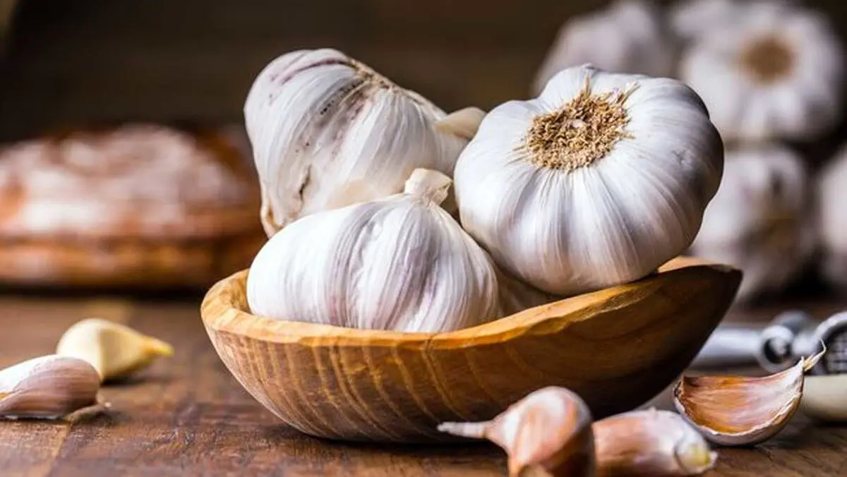 خواص معجزه آسای سیر + جزئیات