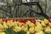 افتتاح باغ سلیمانیه در تهران