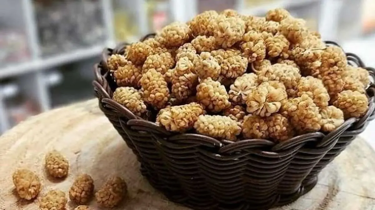اعلام قیمت خرما در آستانه ماه رمضان

