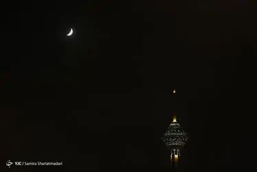 12305212_475