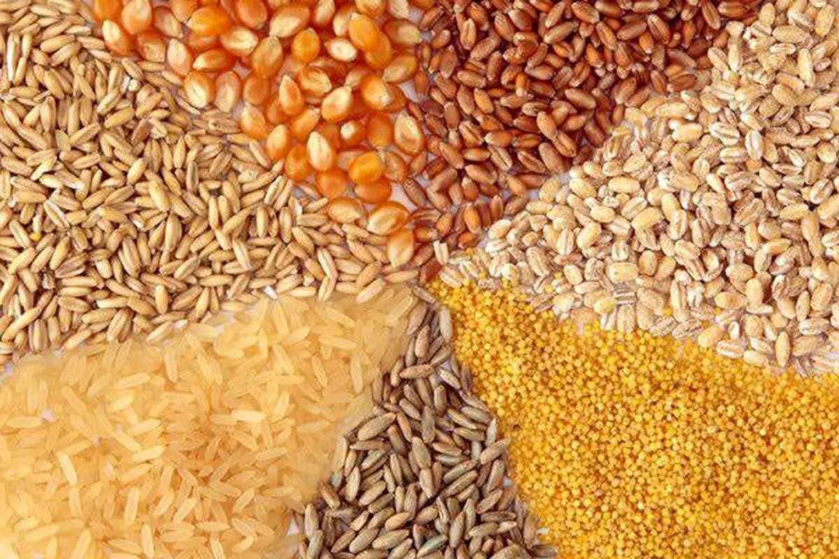بازار نهاده های دامی داغ شد