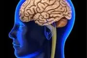 محرومیت شدید دوران کودکی موجب کوچک شدن اندازه مغز می شود