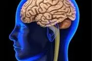  تاثیرات و عوارض بلند مدت ویروس کرونا بر مغز