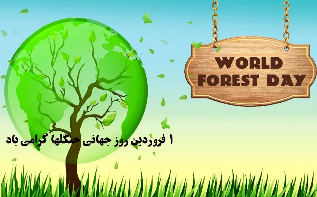 اول فروردین «روز جهانی جنگل» است؛ مراقب جنگلهایمان باشیم