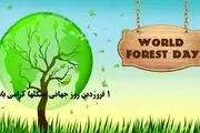 اول فروردین «روز جهانی جنگل» است؛ مراقب جنگل‌های‌مان باشیم