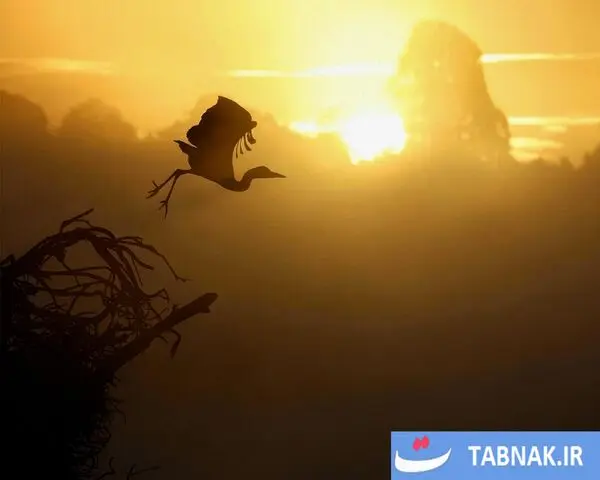 پاییز؛ شکوه رنگ‌ها در چهار گوشه جهان/گزارش تصویری
