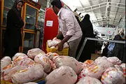 ادامه روند کاهشی نرخ مرغ در بازار