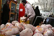 دلایل کاهش قیمت مرغ در بازار