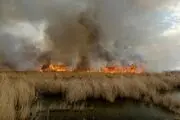 تداوم آتش‌سوزی در تالاب هورالعظیم