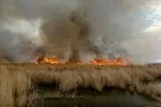 تداوم آتش‌سوزی در تالاب هورالعظیم