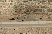 خدایا آرزوی شیعه را برآورده کن