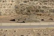 خدایا آرزوی شیعه را برآورده کن