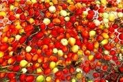 پلمب 2 کارگاه تولید کره حیوانی و رب گوجه فرنگی غیرمجاز در سراب