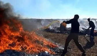 داعش کتاب های موصل را می سوزاند